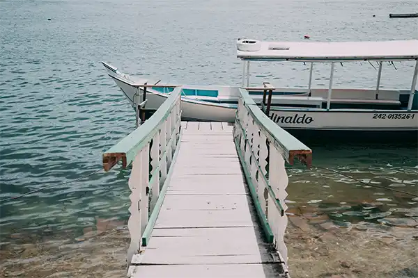 piaçabuçu