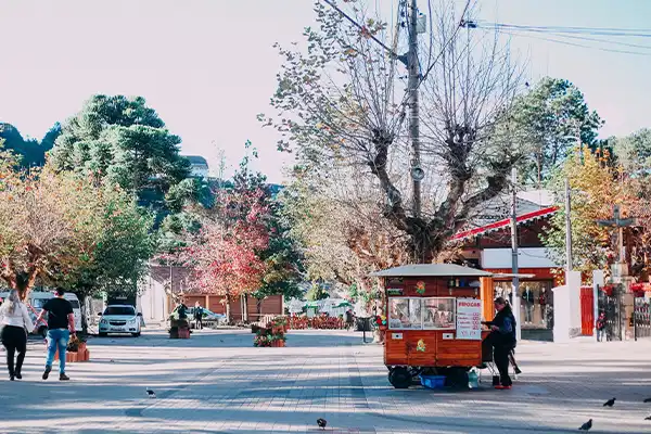 campos do jordão